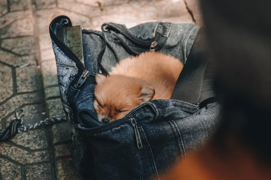 2026년 동계 침낭 선택, 실패를 피하는 법