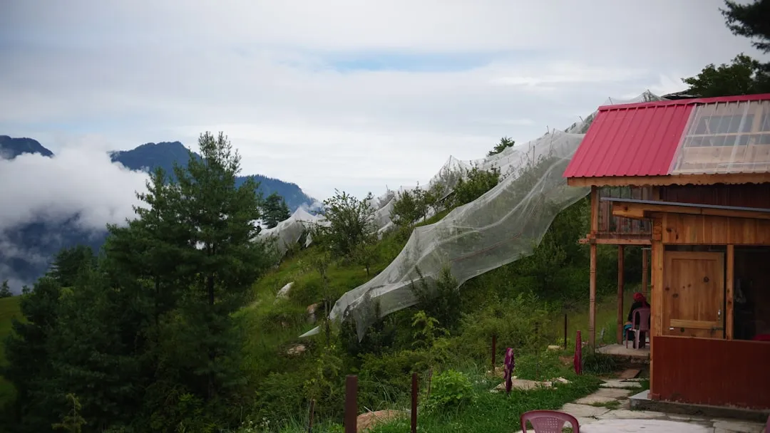 2026년 차박 모기장 인기 브랜드 총정리